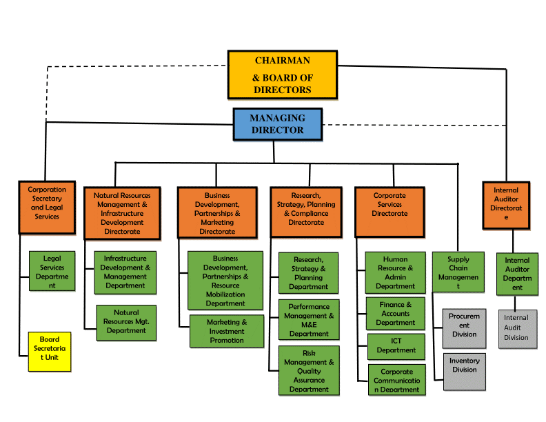 organization structure